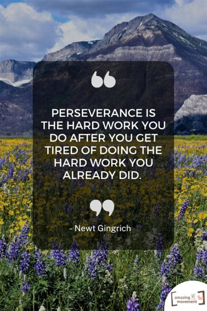 A Journey Of Hope, Perseverance, And Delight!