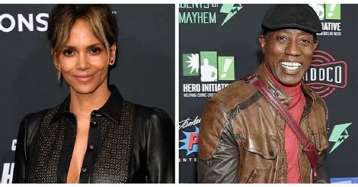 Unraveling The Truth Behind Wesley Snipes And Halle Berry Allegations